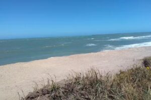 Molina Sergio Taller de Mecanica General