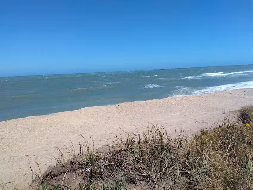 Molina Sergio Taller de Mecanica General