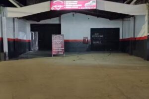 Molina Tronic-Automec