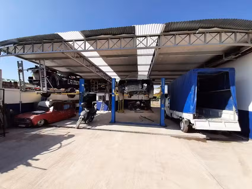 Momia Competici&oacute;n