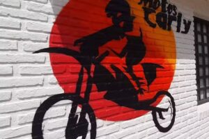 Motos Carly Repuestos Accesorios