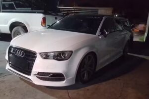 Muratore Performance