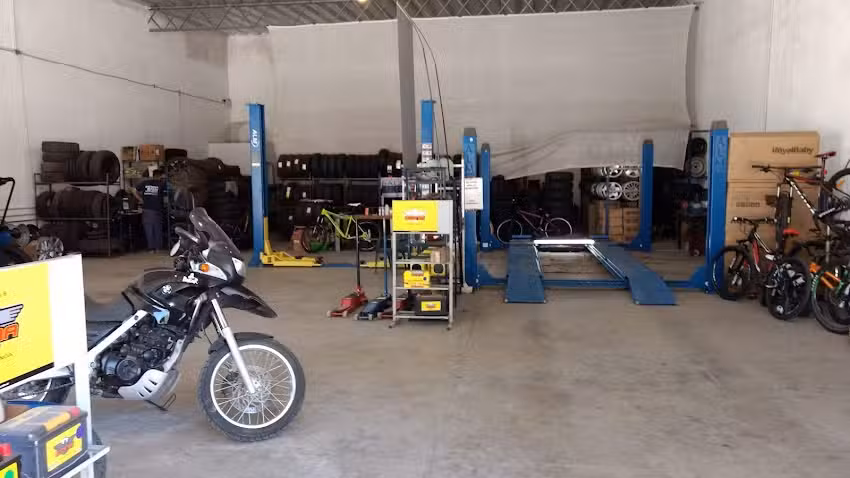 Neum&aacute;ticos Bachicha