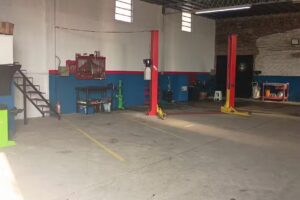 Neumáticos y suspensión RG19