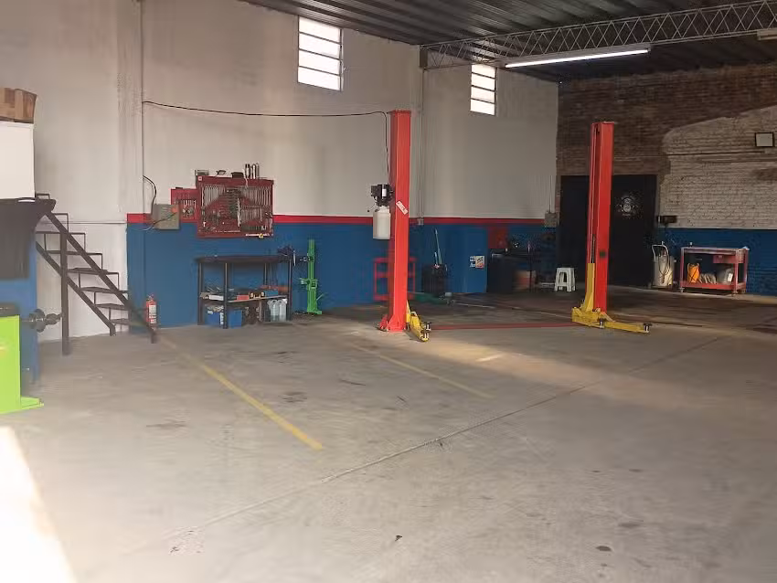 Neum&aacute;ticos y suspensi&oacute;n RG19