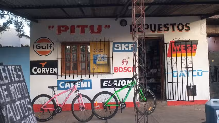 &ldquo;PITU REPUESTOS&rdquo;