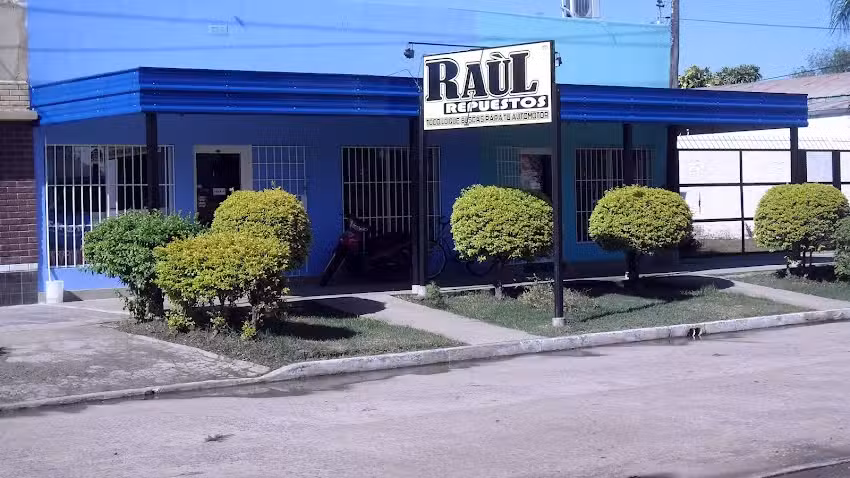 Raul Repuestos
