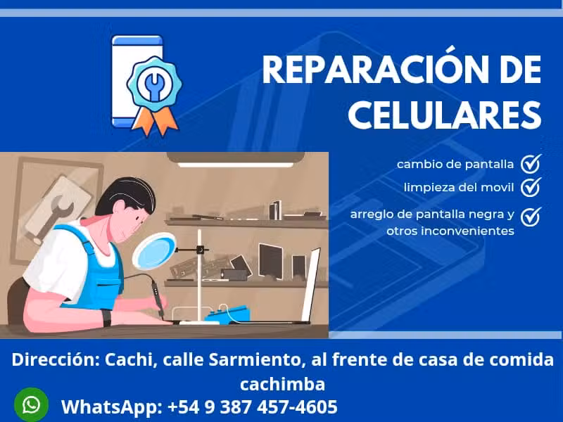 Reparaci&oacute;n de celulares Gonzalo