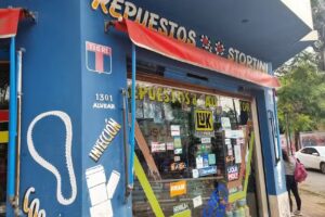 REPUESTOS del AUTOMOTOR Stortini