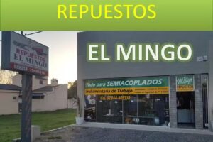REPUESTOS &ldquo;EL MINGO&rdquo;