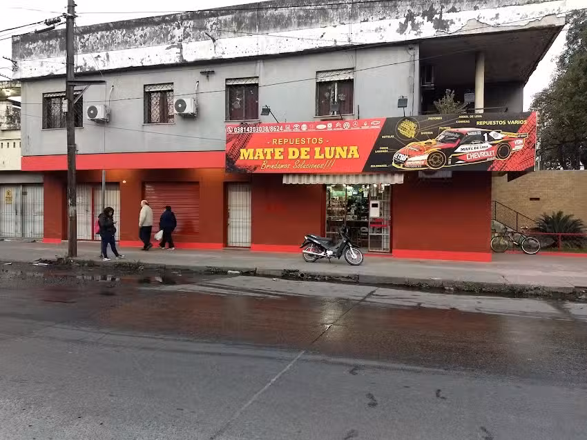 REPUESTOS MATE DE LUNA