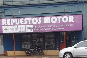 Repuestos Motor