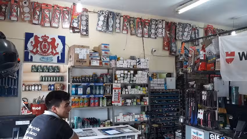 Repuestos Rieb Todas Las Marcas