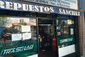 Repuestos S&aacute;nchez