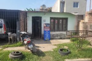 Resiliencia celulares