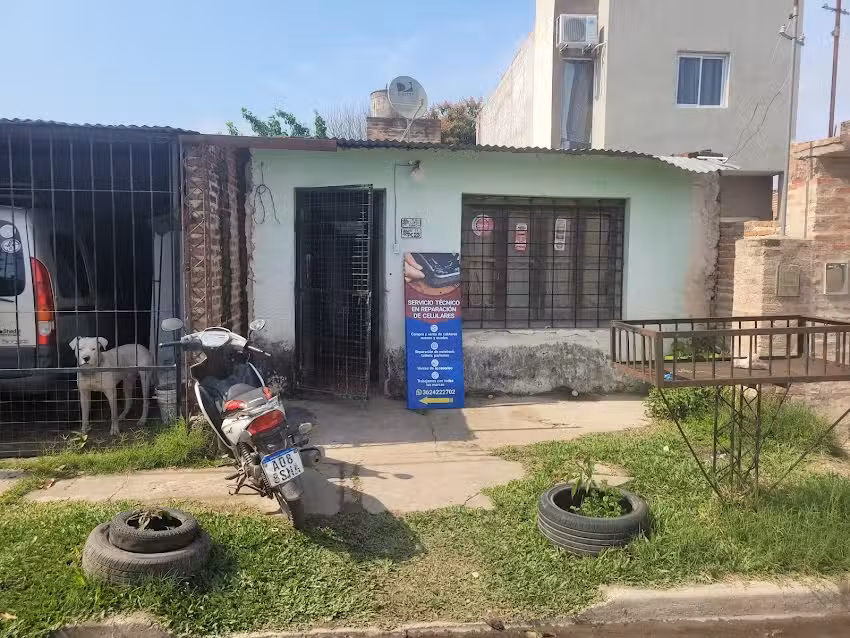 Resiliencia celulares