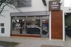 Ricardo Morrone Repuestos &ndash; Service oficial HYUNDAI