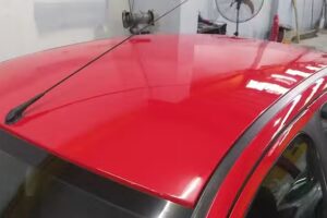 Roccuzzo est&eacute;tica del automotor