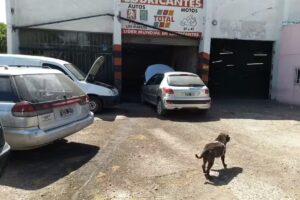 Sergio Dalmaso Servicio Mec&aacute;nico