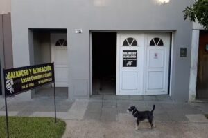 Service Auto alineacion y balanceos