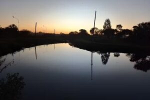 Servicios y Repuestos Imanol