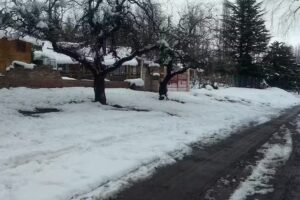 🏼‍ SEVENTEC – Reparación y Mantenimiento de PC, Celulares, TV e Internet y servicios en general 🏼‍