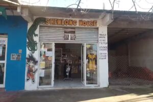 SHENLONG HOUSE MUNDO ANIME🎌 Y TECNOLOGIA📲🔧