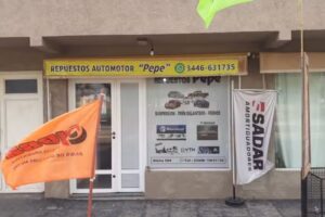 Suspension ,tren delantero /Repuestos pepe