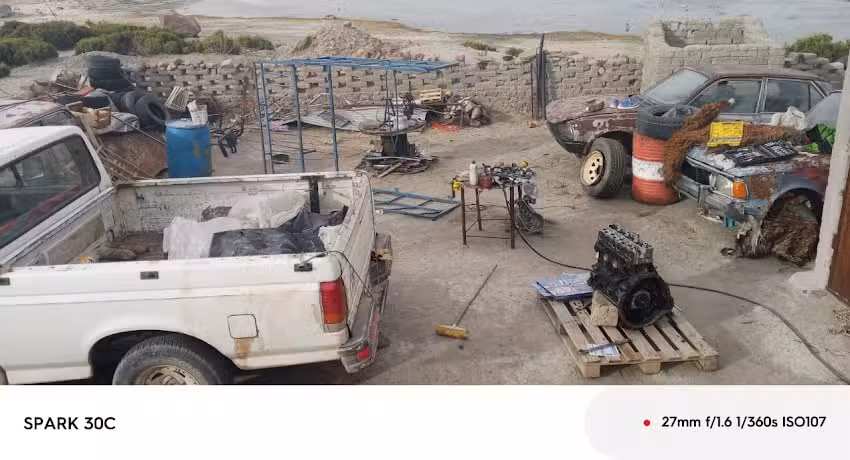 TALLER DEL CAMINO ANDINO TRINACIONAL