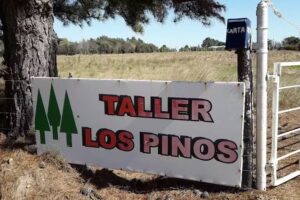 Taller Los pinos