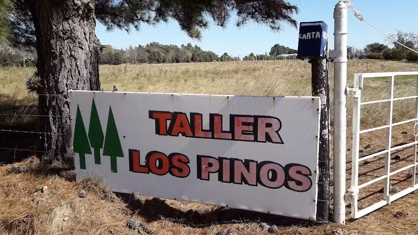 Taller Los pinos