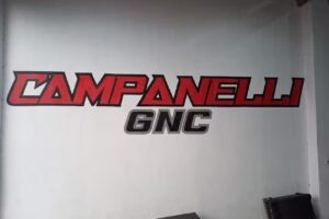Taller Mecanico Campanelli