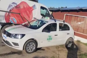 taxi Dina Huapi móvil 009