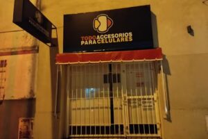 Todo Accesorios Para Celulares