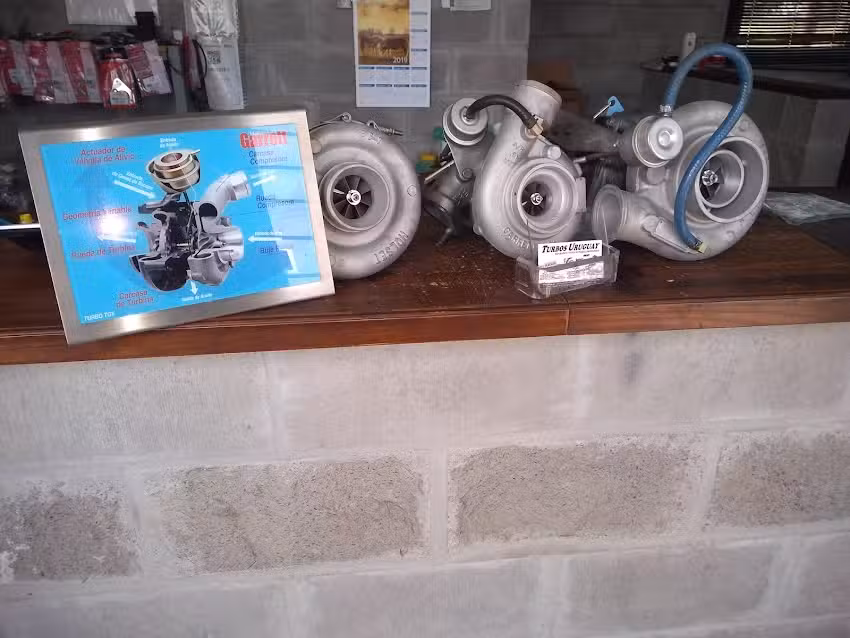 Turbos Uruguay