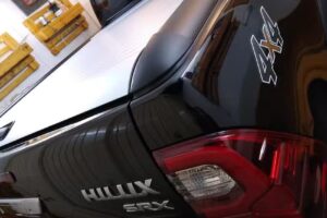 V8 Microbollos Leones