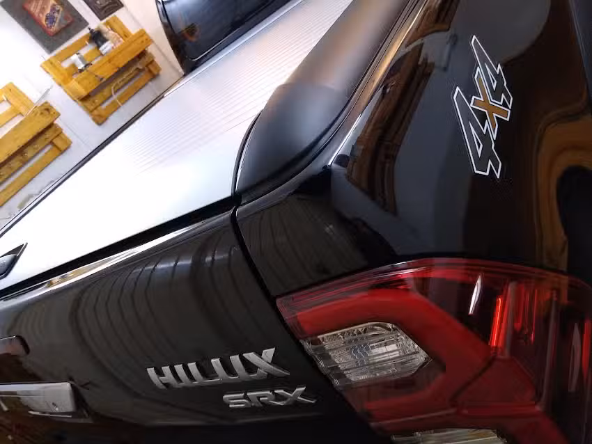 V8 Microbollos Leones