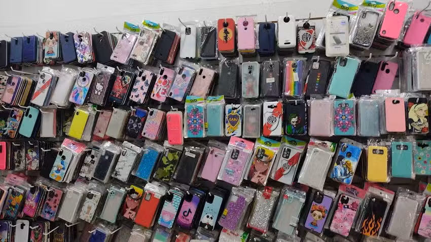 Zona cell.2